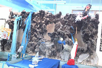 本物の溶岩を持ってきて造ったという男湯と女湯を隔てる壁の写真